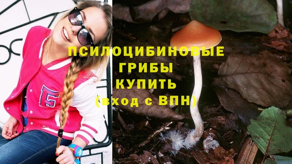 спиды Армянск